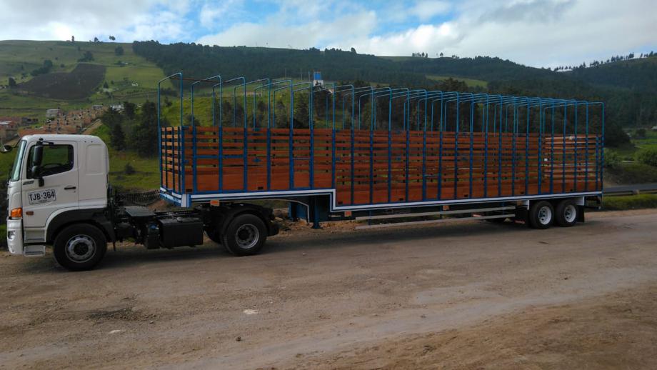 Transporte en Patineta de 2 ejes  en Tena, Napo, Ecuador